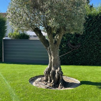 2e840da1-ca5c-4f36-8ad8-434d9f58660b