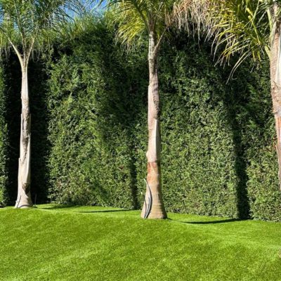 3e979ecc-6186-4f86-b896-de09258e21cd